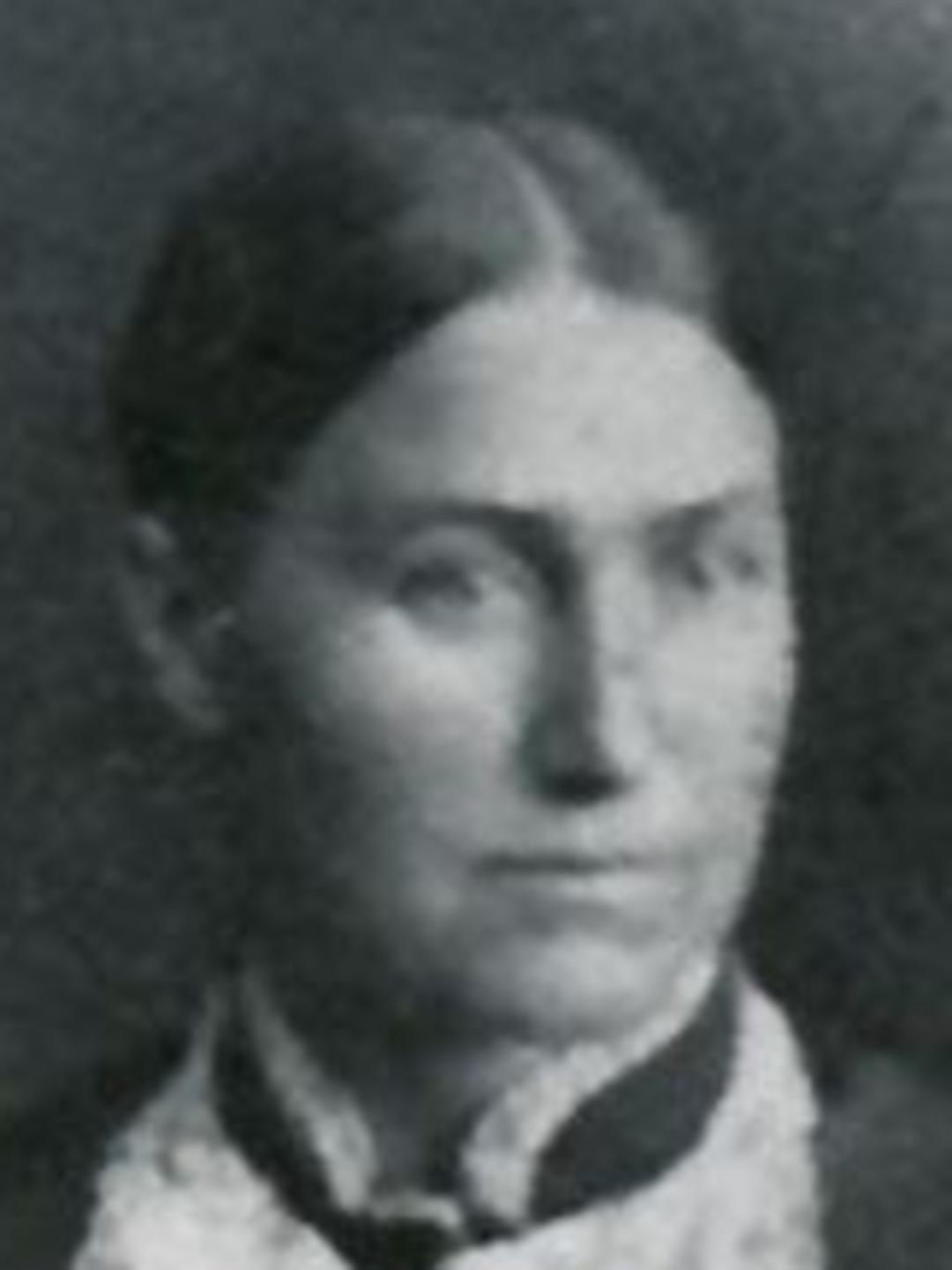 Eliza Jane Bird (1841 - 1916) Profile